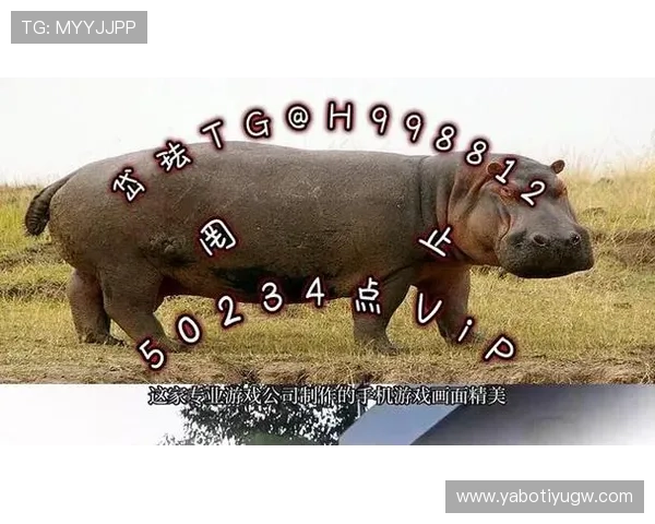 亚博捕鱼最新优惠活动全面解析轻松掌握亚博捕鱼玩法技巧介绍和实用攻略详解,助你轻松获胜 亚博捕鱼最新优惠活动全面解析轻松掌握亚博捕鱼玩法技巧介绍和实用攻略详解,助你轻松获胜