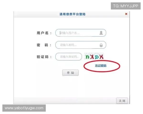 亚博正版支付方式全解析，帮助玩家选择最安全便捷的充值渠道与支付方案